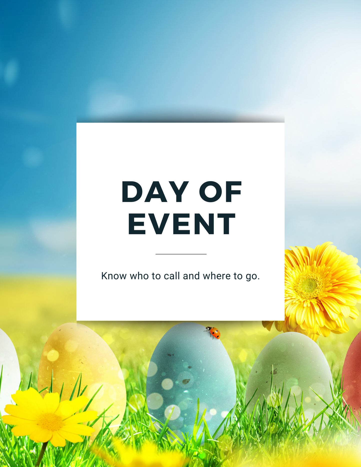 Bunny Scavenger Hunt Event Guide